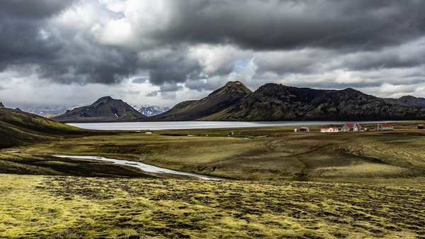 Creating an Ergonomic Home Office: Essential Tips to Prevent Carpal Tunnel Syndrome